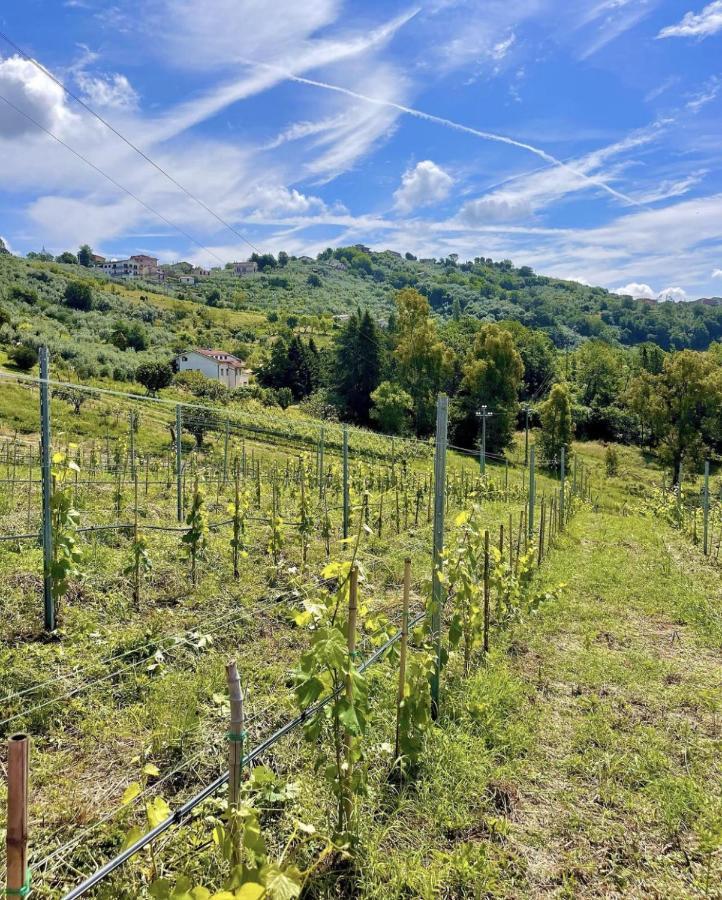 Donna Vittori - Borgo Agricolo Aparthotel Paliano Exterior photo